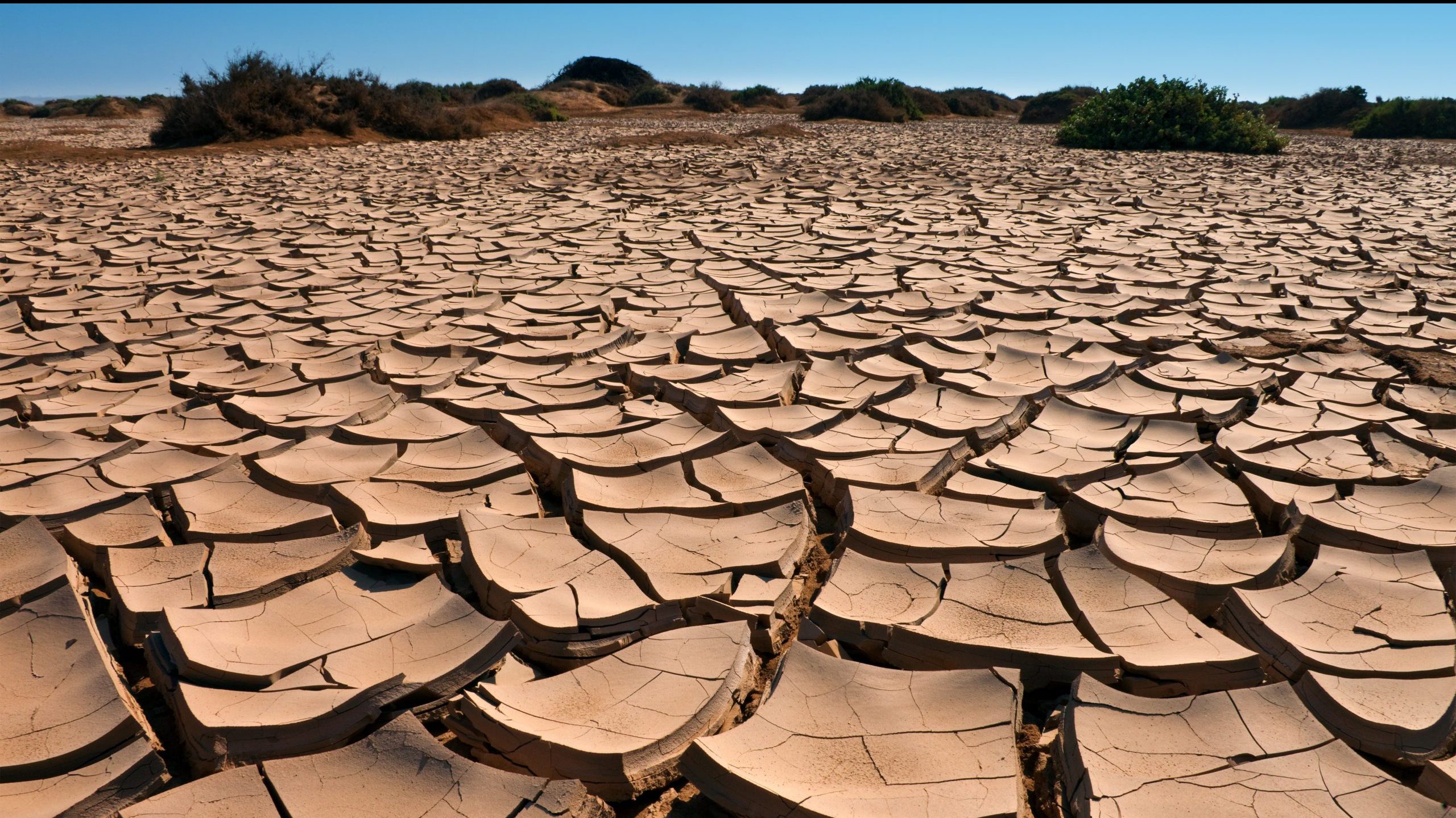 Засуха пришла. Потрескавшаяся земля в пустыне. Засуха. Засуха в России. Пустыня засуха.